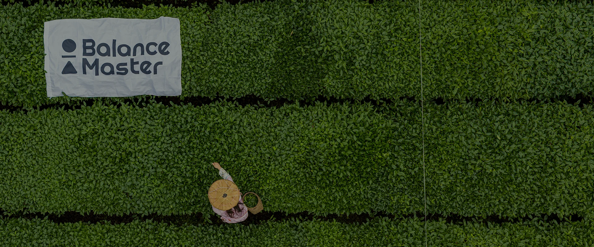 Balance Master matcha garden hero visual