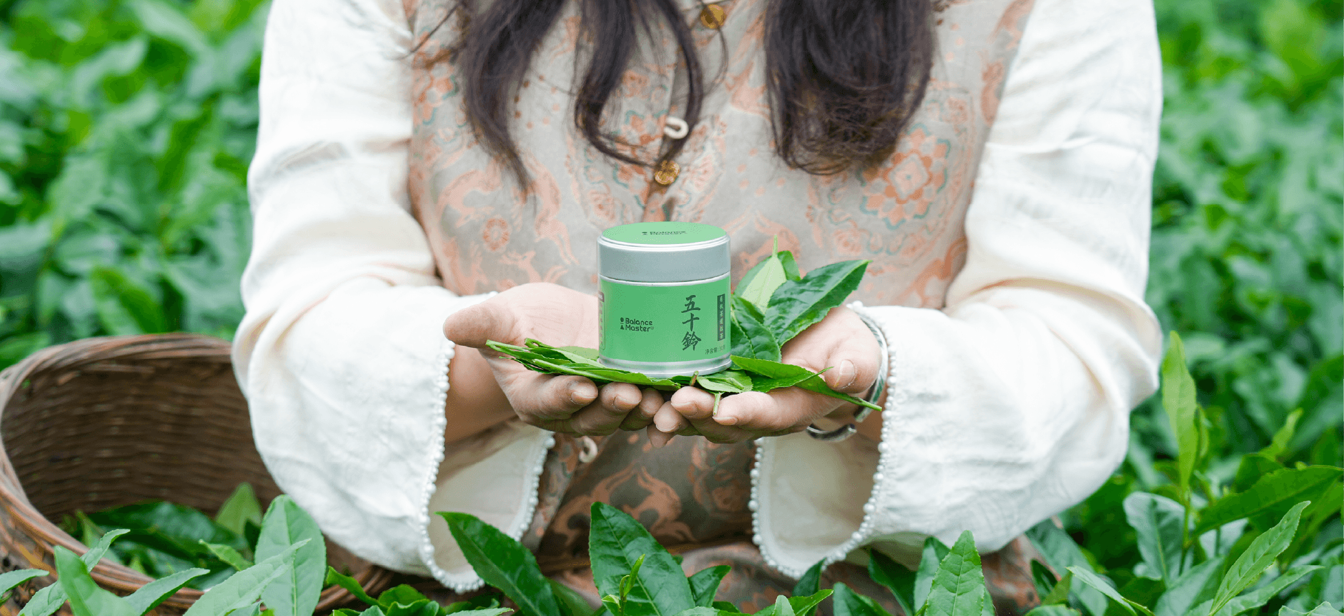 A tea picker holding an Isuzu matcha tin and fresh tea leaves